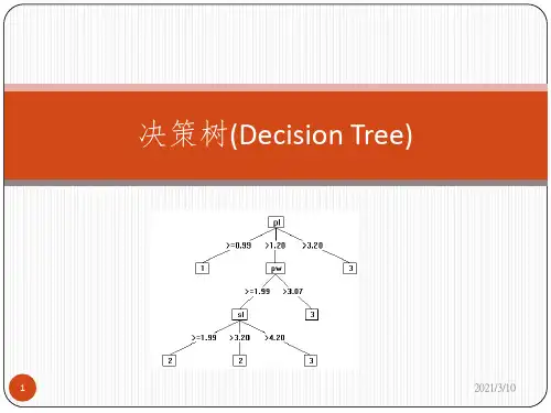 决策树--很详细的算法介绍课件PPT