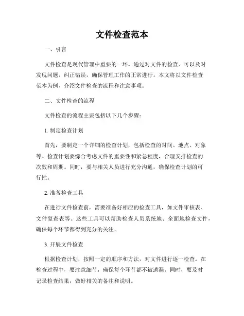 文件检查范本