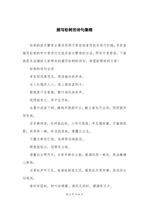 描写松树的诗句集锦