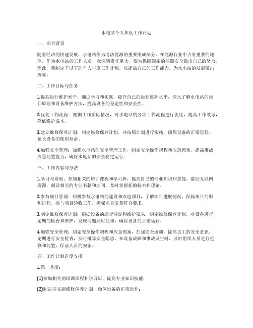 水电站个人年度工作计划