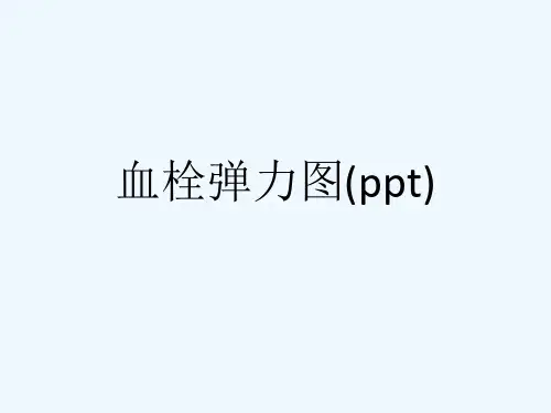 血栓弹力图(ppt)