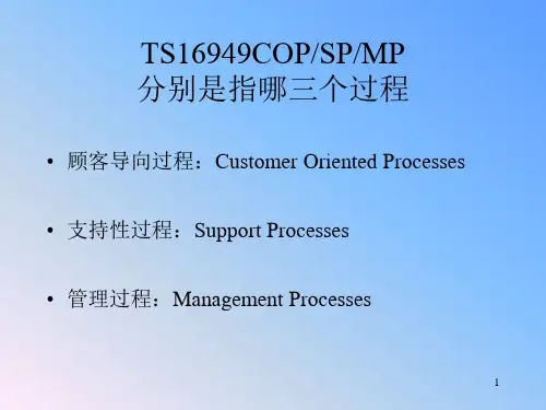 乌龟图大全精品PPT课件