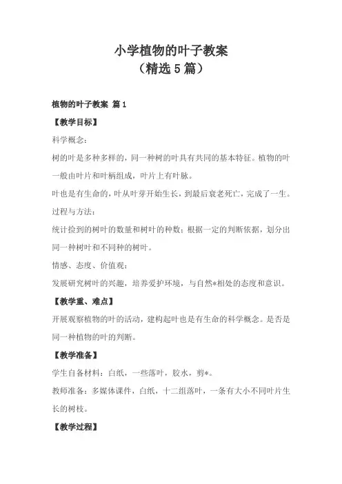 小学二年级人与自然第四课植物的叶子教案