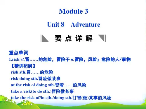 高考英语一轮复习Unit8Adventure课件北师大版必修3