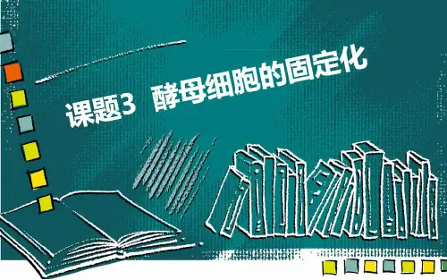 高中生物酵母细胞的固定化说课公开课精品课件