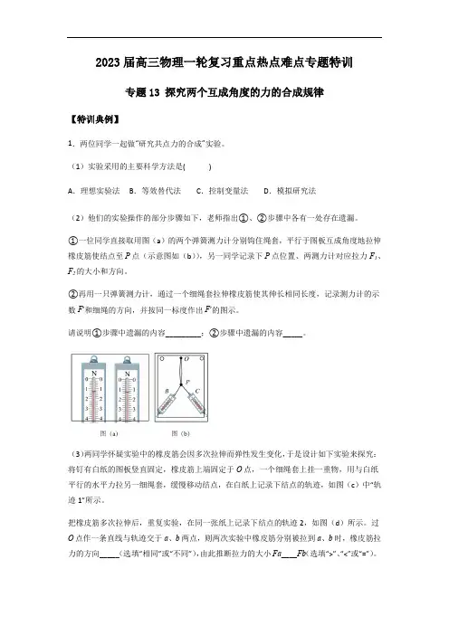 专题13 探究两个互成角度的力的合成规律(解析版)