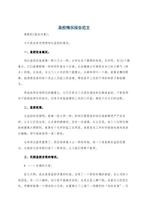 监控情况报告范文