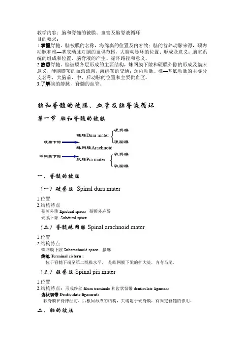 系解笔记(被膜、血管及脑脊液循环)