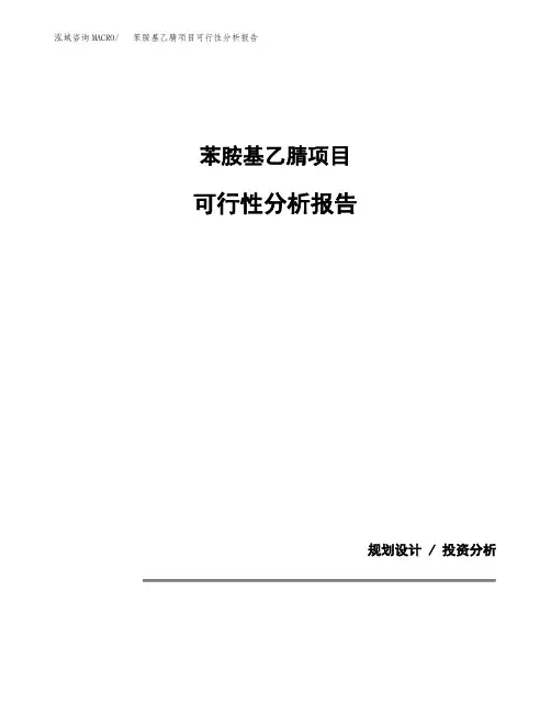 苯胺基乙腈项目可行性分析报告(模板参考范文)