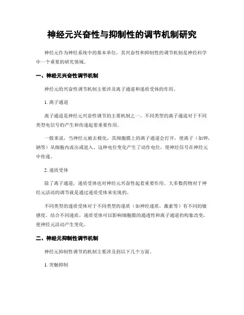 神经元兴奋性与抑制性的调节机制研究