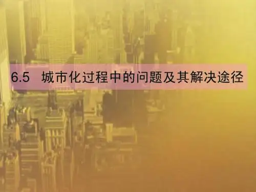 【高中地理】城市化过程中的问题及其解决途径
