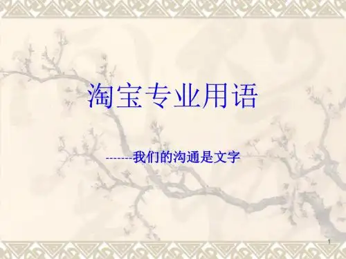 淘宝用语ppt课件