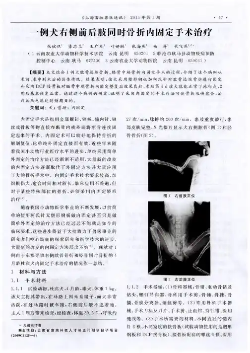 一例犬右侧前后肢同时骨折内固定手术治疗