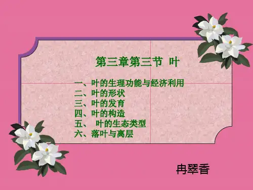 植物学第三章第三节叶ppt课件