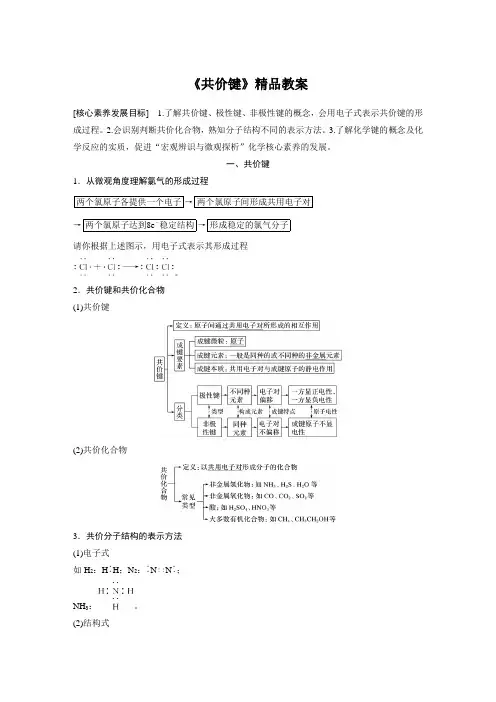 《共价键》精品教案
