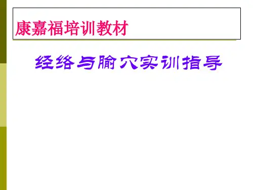 手太阴肺经ppt课件