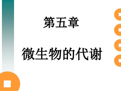 第五章 微生物的代谢培训教材