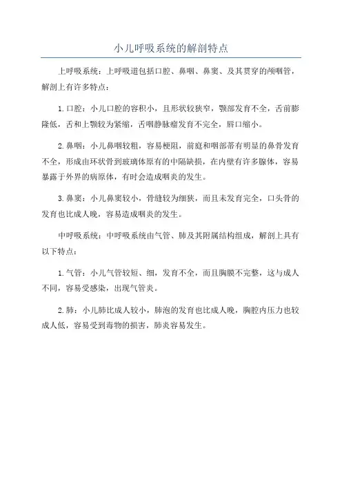 小儿呼吸系统的解剖特点