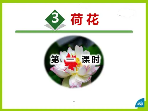 部编版三年级下册3荷花PPT课件