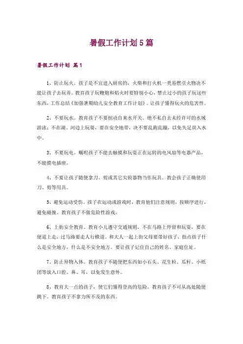 暑假工作计划5篇