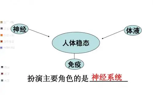 通过神经系统的调节