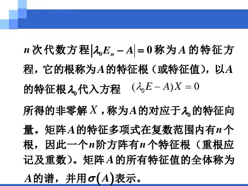 线性变换的特征值与特征向量