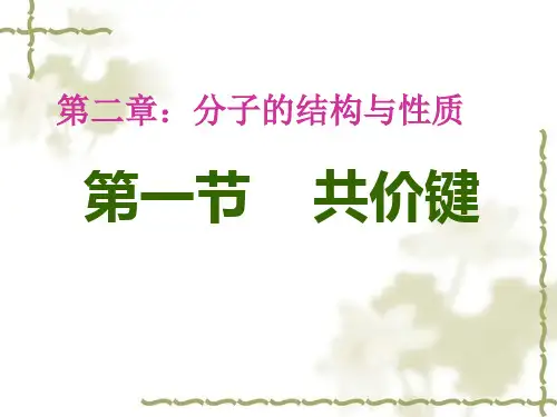 2.1共价键PPT课件