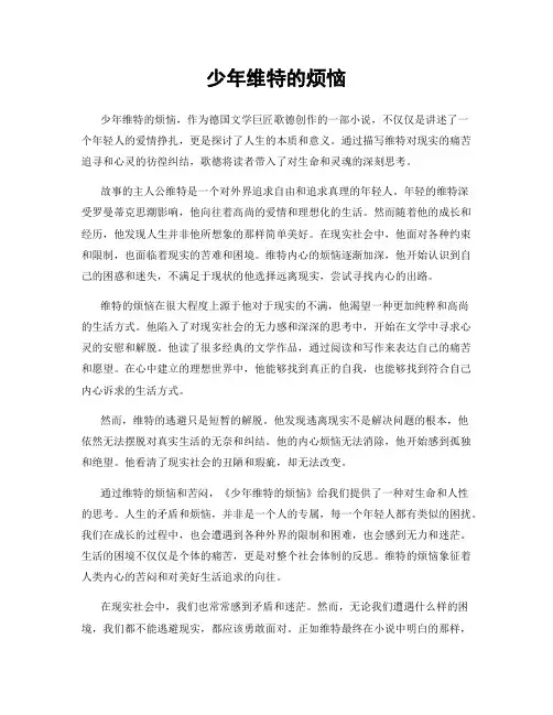 少年维特的烦恼