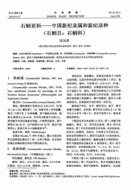 石蛃亚科——中国新纪录属和新纪录种(石蛃目：石蛃科)