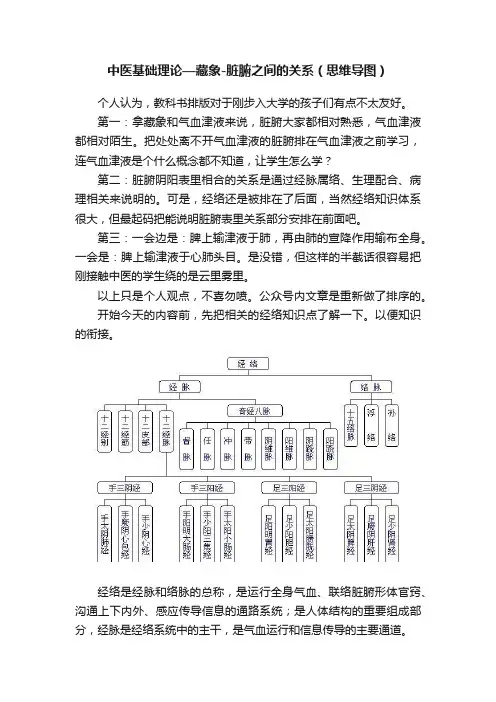 中医基础理论—藏象-脏腑之间的关系（思维导图）
