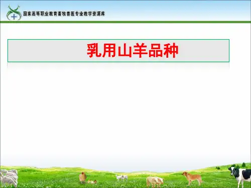 17-乳用山羊品种(田得红)重点