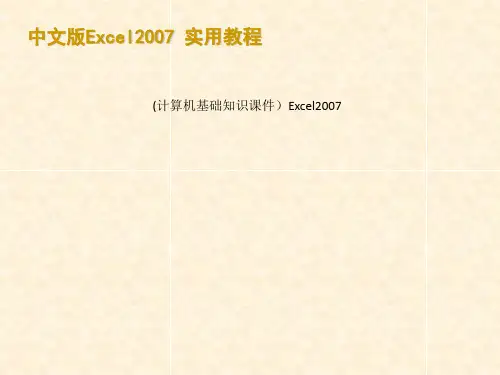 (计算机基础知识课件)Excel2007