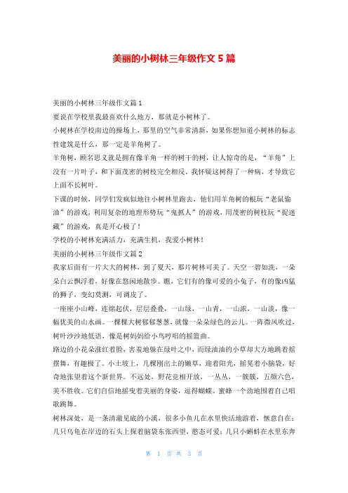 美丽的小树林三年级作文5篇