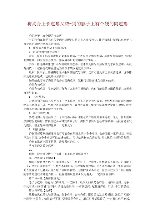 狗狗身上长疙瘩又脓-狗的脖子上有个硬的肉疙瘩