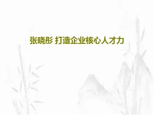 张晓彤 打造企业核心人才力PPT文档94页