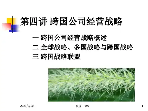 跨国公司经营战略