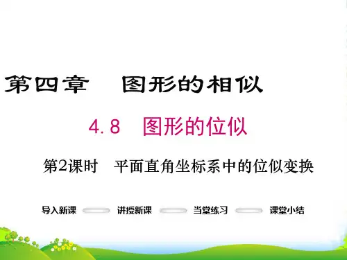 北师大版九年级数学上册《平面直角坐标系中的位似变换》课件
