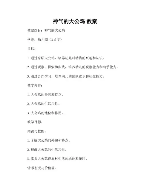 神气的大公鸡 教案