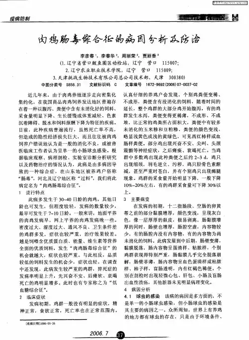 肉鸡肠毒综合征的病因分析及防治