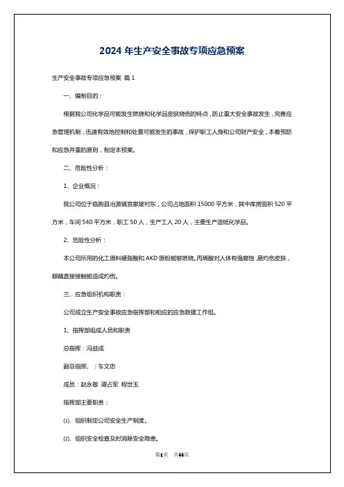 2024年生产安全事故专项应急预案