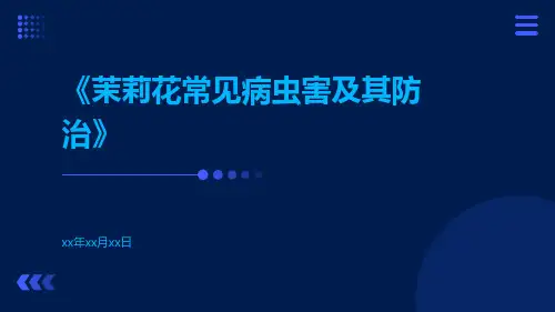 茉莉花常见病虫害及其防治