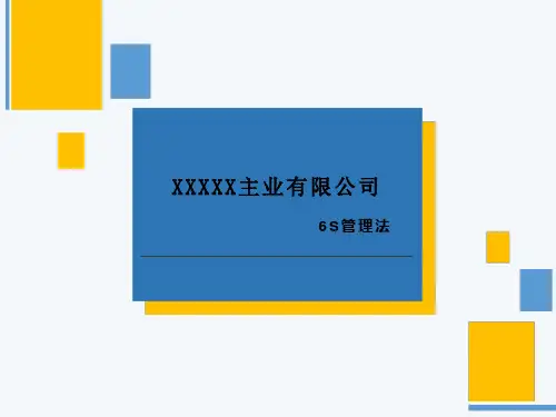6s管理法说明及组织结构图
