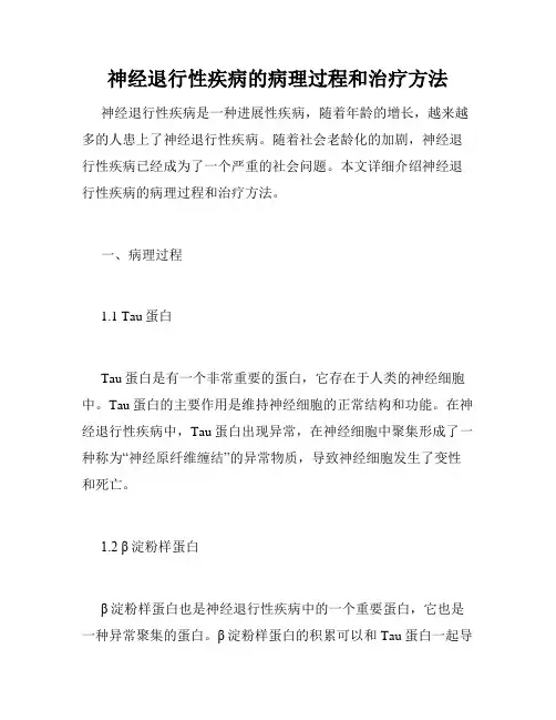 神经退行性疾病的病理过程和治疗方法