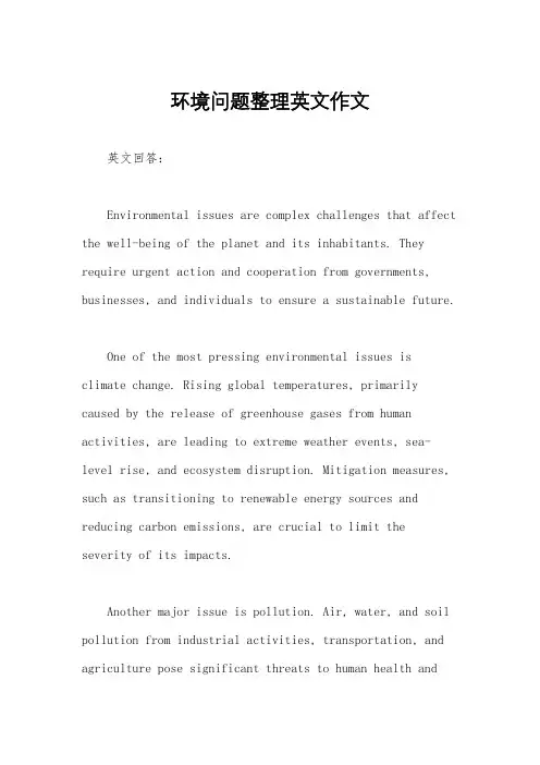 环境问题整理英文作文