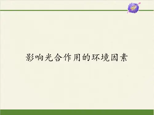 高中生物必修一课件-4.2.3影响光合作用的环境因素5-苏教版