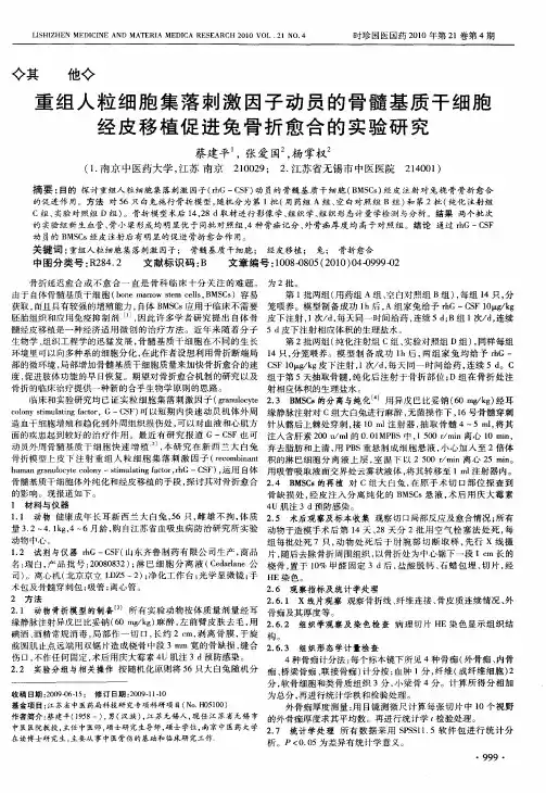 重组人粒细胞集落刺激因子动员的骨髓基质干细胞经皮移植促进兔骨折愈合的实验研究