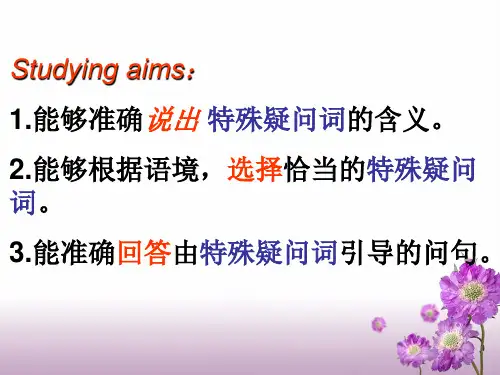 小学英语特殊疑问词专项复习ppt课件