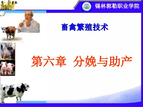 第六章 分娩与助产