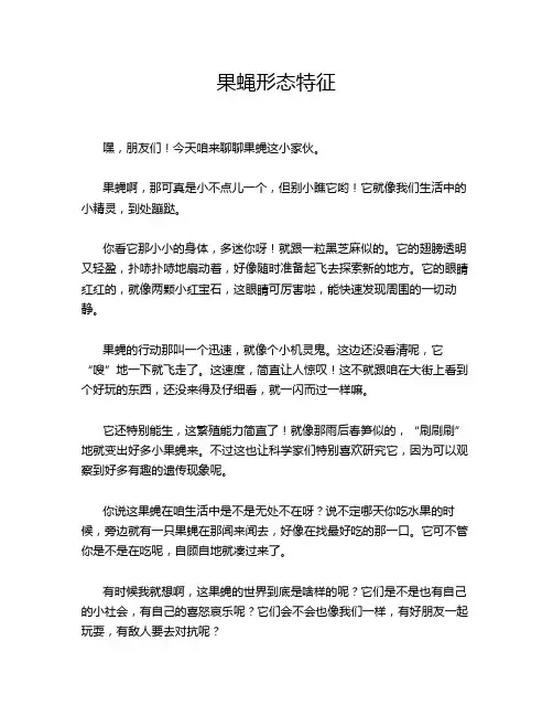 果蝇形态特征