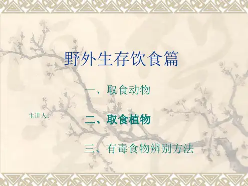 野外生存饮食篇